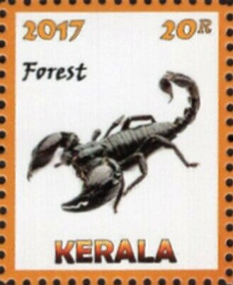 Scorpions