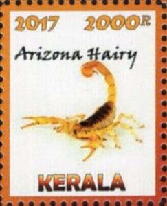 Stamp, Scorpions, Cinderellas,  , Scorpions