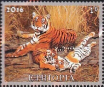 Tigers