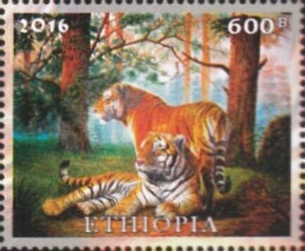 Tigers