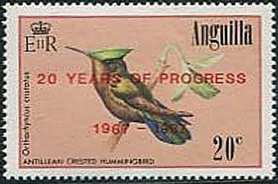 Antillean Crested Hummingbird (Orthorhyncus cristatus)