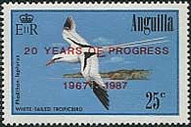White-tailed Tropicbird (Phaethon lepturus)