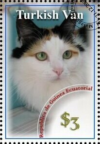 Turkish Van