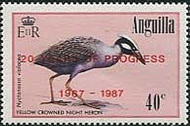 Yellow-crowned Night Heron (Nyctanassa violacea)