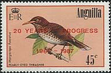 Pearly-eyed Thrasher (Margarops fuscatus)
