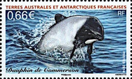 Stamp, Commerson's Dolphin (Cephalorhynchus commersonii), French Southern and Antarctic Lands (TAAF),  , Animals (Fauna), Dolphins, Sea (Marine) Mammals
