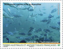 Rich and Diversified Marine Biodiversity