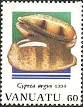 Eyed Cowry (Cypraea argus)
