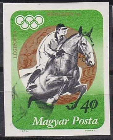 Gold Medalist Andras Balczo, Horse (Equus ferus caballus)