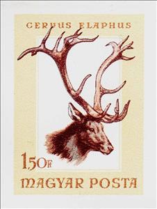 Stamp, Red Deer (Cervus elaphus), Hungary,  , Animals (Fauna), Deer, Hunting, Mammals