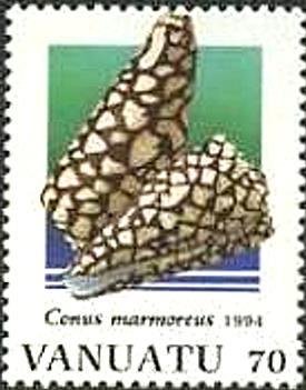 Marbled Cone (Conus marmoreus)