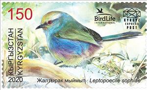 Stamp, White-browed Tit-warbler (Leptopoecile sophiae), Kyrgyzstan,  , Animals (Fauna), Birds