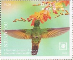 Stamp, Chestnut-Breasted Coronet (Boissonneaua matthewsii), Niuafo'ou,  , Birds, Hummingbirds