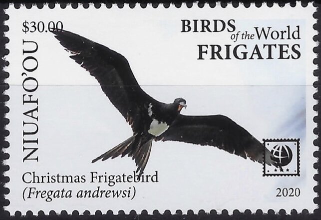 Christmas Frigatebird (Fregata andrewsi)