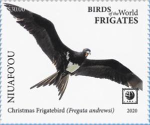Stamp, Christmas Frigatebird (Fregata andrewsi), Niuafo'ou,  , Birds