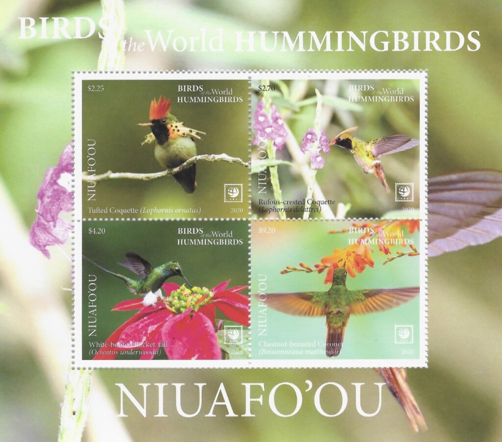 Hummingbirds