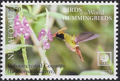 Rufous-Crested Coquette (Lophornis delattrei)