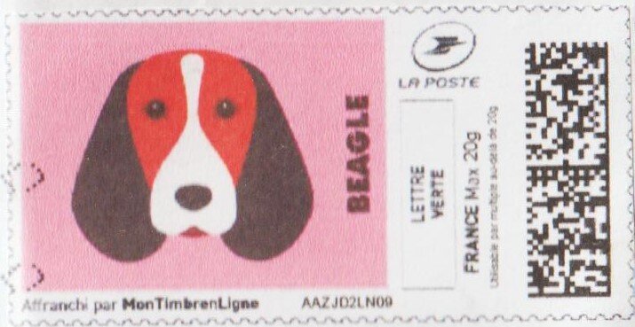 Beagle