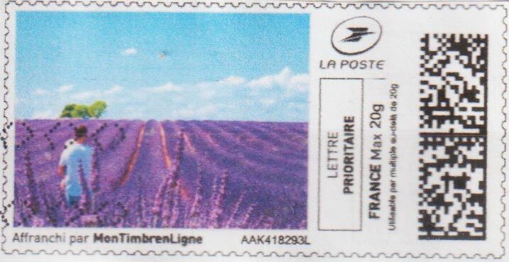Lavender Field