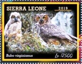 Stamp, Bubo virginianus, Sierra Leone,  , Animals (Fauna), Birds, Owls