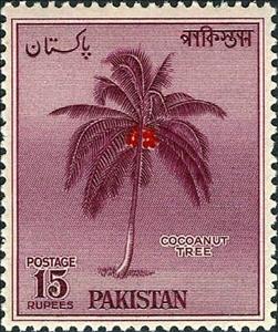 Stamp, Coconut Tree (Cocos nucifera), Pakistan,  , Trees, Palm-trees, Plants (Flora)
