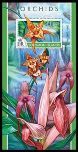 Souvenir Sheet, (Rhynchostele cordata), Solomon Islands,  , Flowers, Orchids, Plants (Flora)