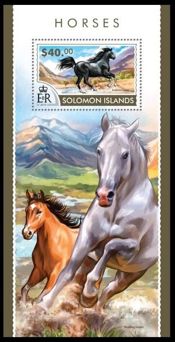 Arabian Horse