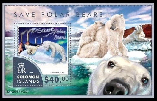 Polar Bear (Ursus maritimus)