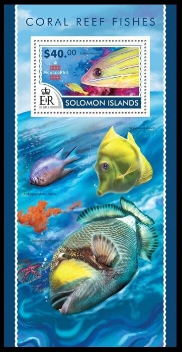 The Bluestripe Snapper (Lutjanus kasmira)