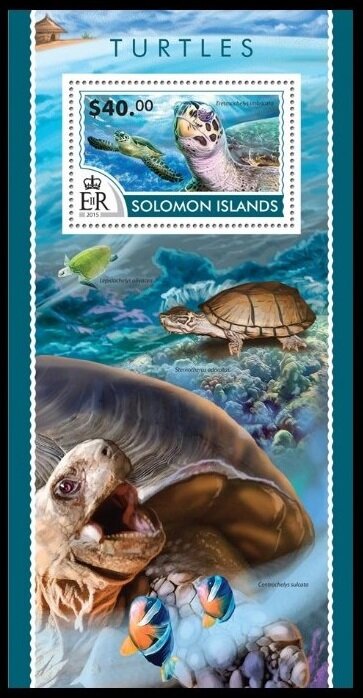 The Hawksbill Sea Turtle (Eretmochelys imbricata)