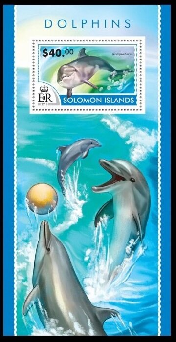 The Indo-Pacific Bottlenose Dolphin (Tursiops aduncus)
