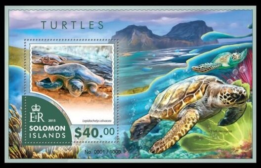 The Olive Ridley Sea Turtle (Lepidochelys olivacea)