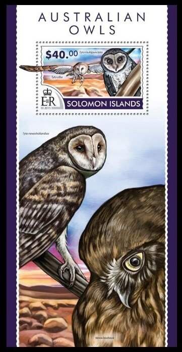 The Western Barn Owl / The Lesser Sooty Owl