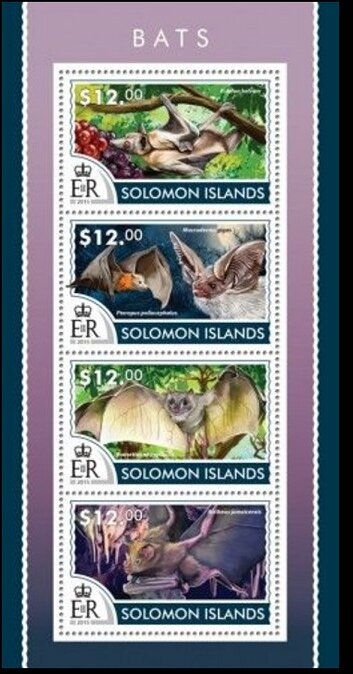 Various Bats