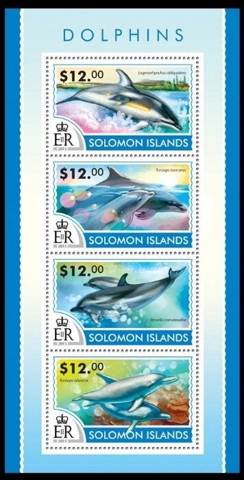 Various Dolphins