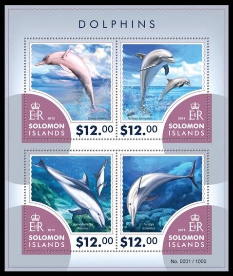 Various Dolphins