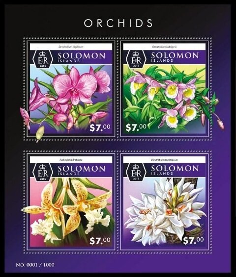 Various Orchids