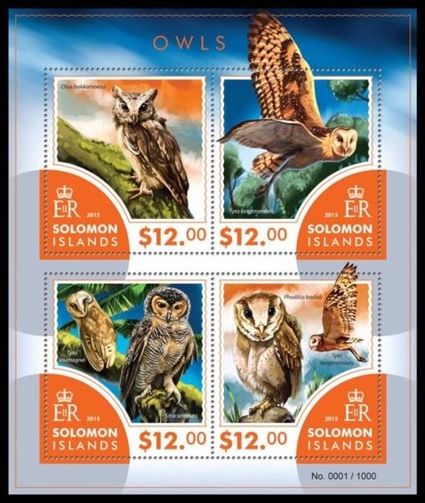 Various Owls