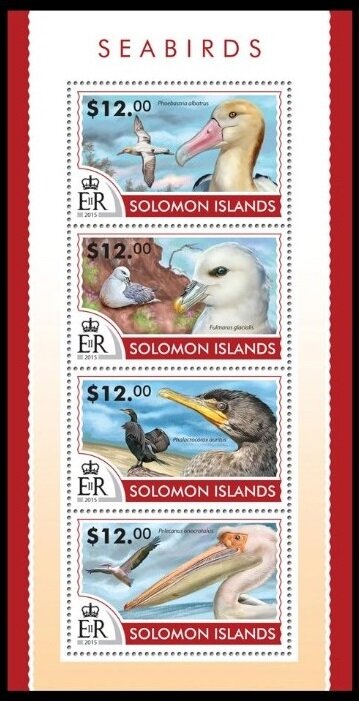 Various Seabirds