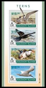 Mini Sheet, Various Terns, Solomon Islands,  , Birds
