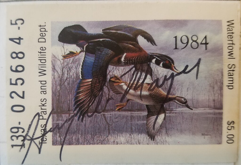 Wood Ducks