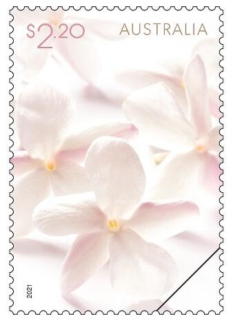 Flower Blossoms