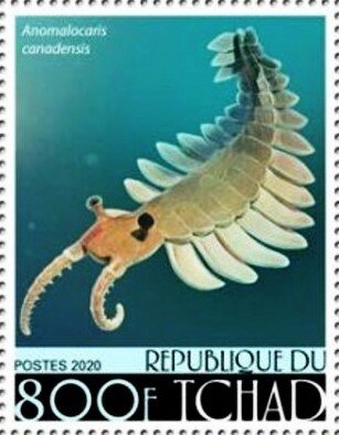 Anomalocaris Canadensis;