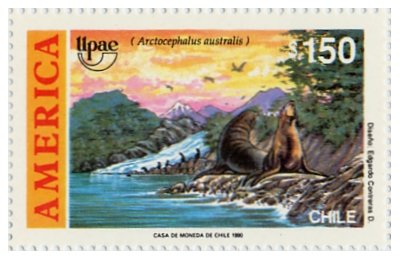 Stamp, South American Fur Seal (Arctocephalus australis), Chile,  