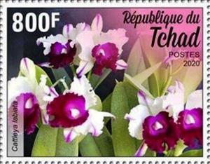 Stamp, Cattleya labiata, Chad,  , Flowers, Orchids, Plants (Flora)