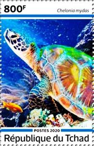 Stamp, Chelonia mydas, Chad,  , Animals (Fauna), Turtles