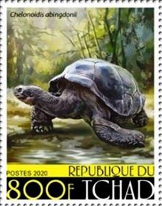 Stamp, Chelonoidis abingdonii, Chad,  , Animals (Fauna), Turtles