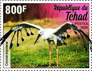 Stamp, Ciconia boyciana, Chad,  , Animals (Fauna), Birds, Storks