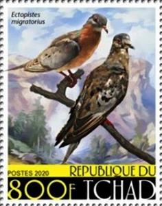 Stamp, Ectopistes migratorius, Chad,  , Animals (Fauna), Birds