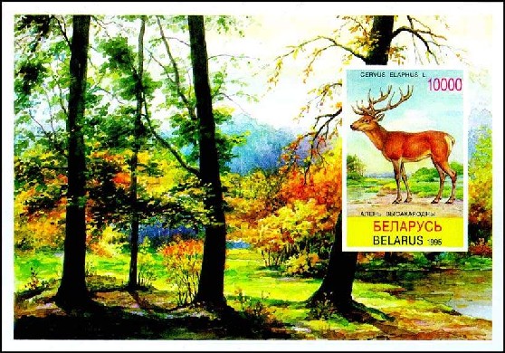Souvenir sheet Red deer